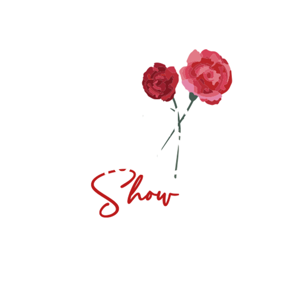 Flamenco Passion show