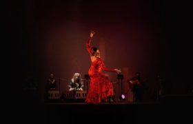 Flamenco Passion Show