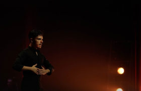 Flamenco Passion Show