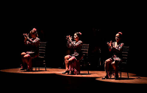 Flamenco Passion0005 1