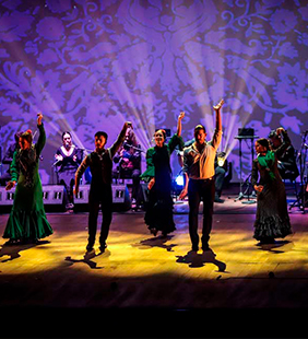 Flamenco Passion0010