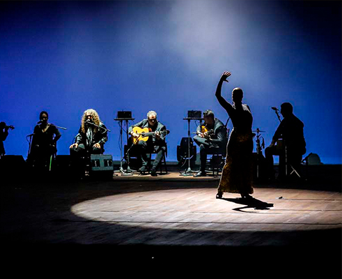 Flamenco Passion0011