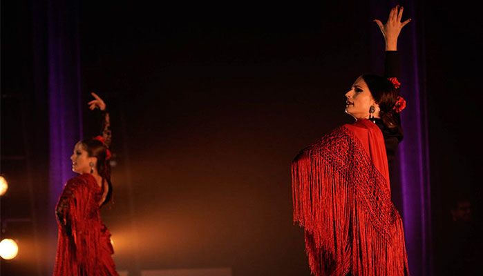 flamenco passion gallery 4